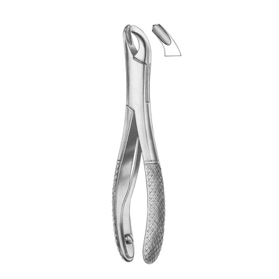 Fig. 360-17SK lower molars